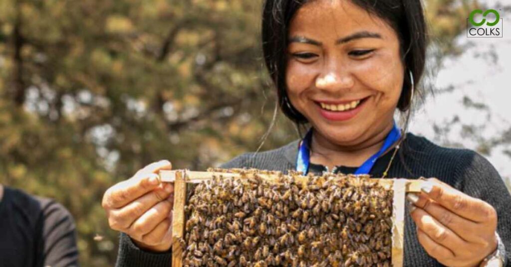 curious-about-bees-apiculture-training-COLKS